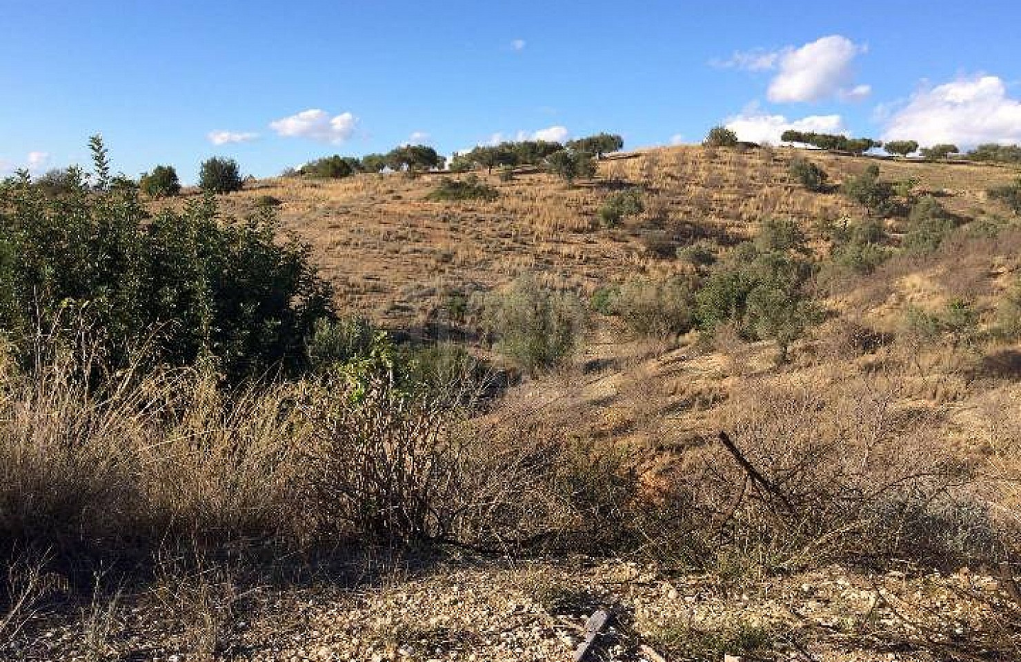 Land plot in Ermionida, Argolida