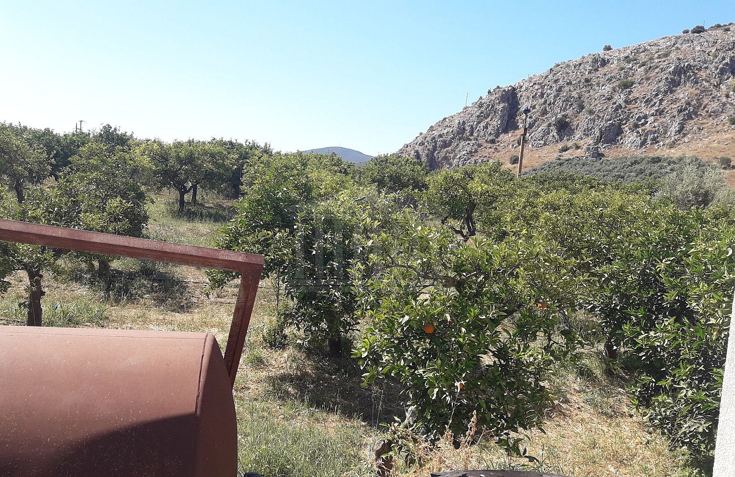 Agricultural Land, Nea Tiryntha - Argolida