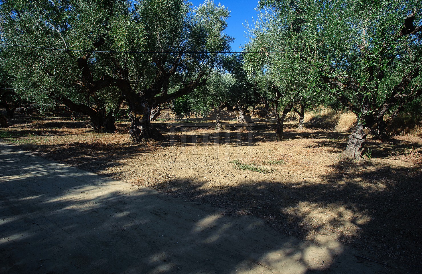Mixed use land plot in Zakinthos