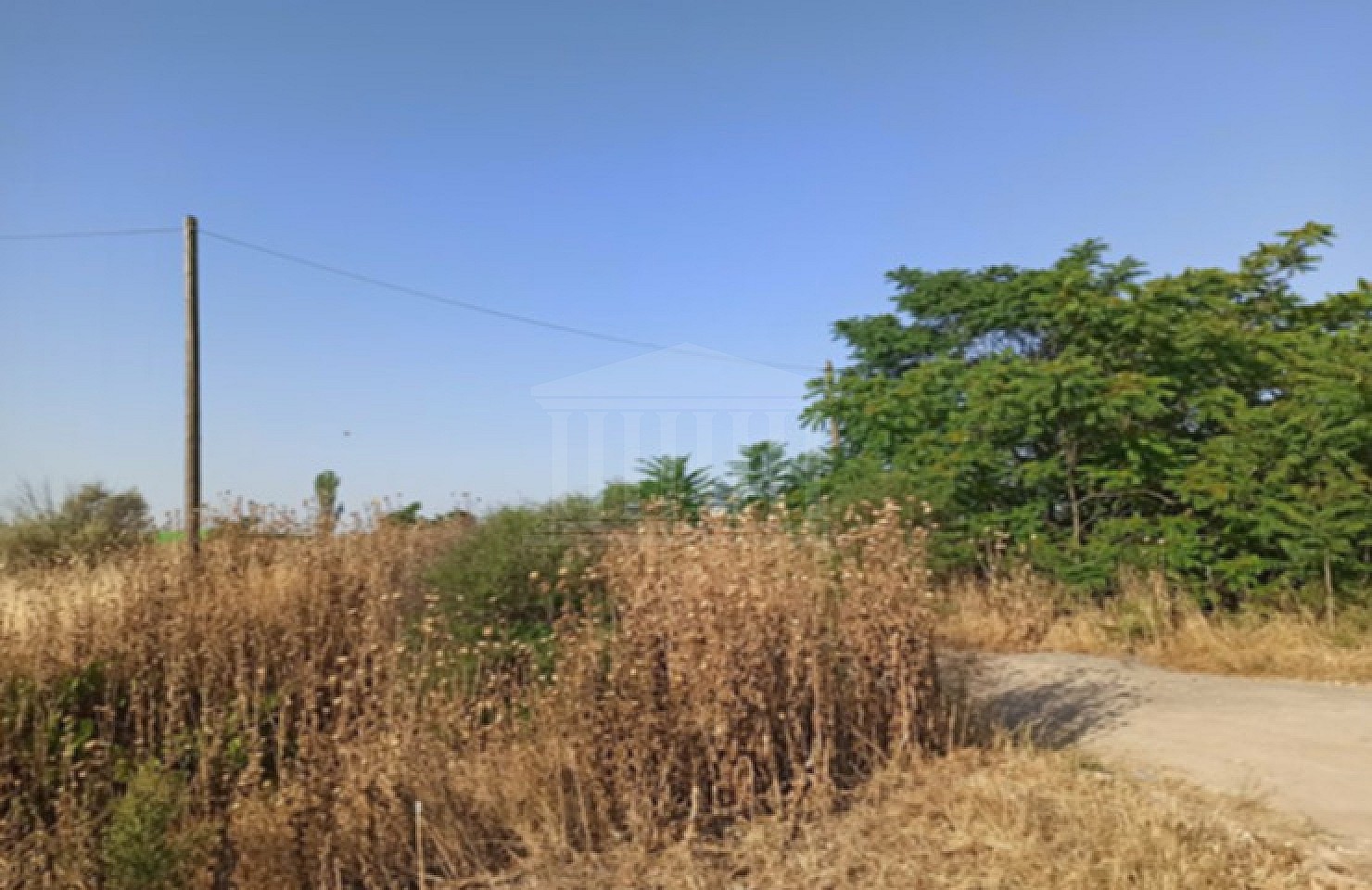 Land parcel in Larisa, Chania-Gkortsopoules