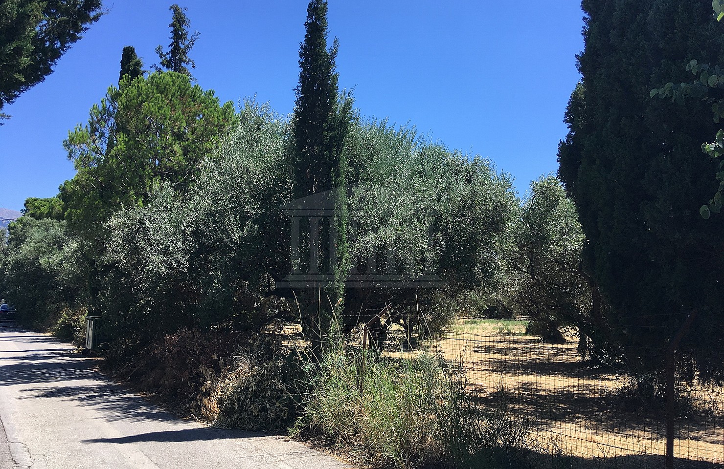 Land plot in Rio Patra