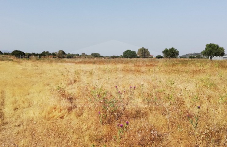 Mixed Use Land, Koropi